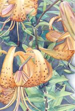 Jill Rae Martin-Golden